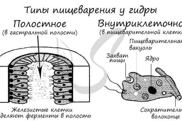 Кракен сайт kr2web