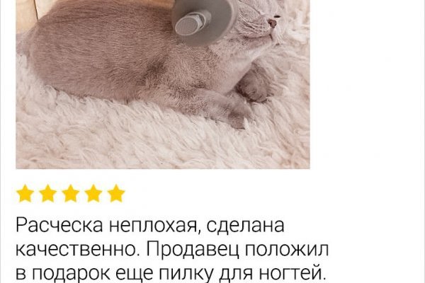 Кракен даркнет ссылка на сайт