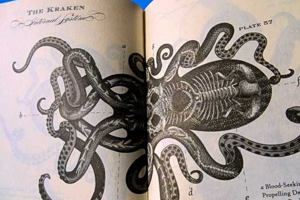 Kraken at зеркало