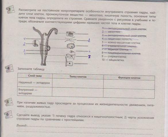 Кракен ссылка на тор официальная онион